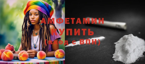 дживик Бородино