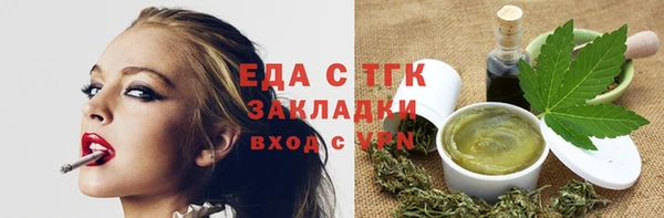 дживик Бородино