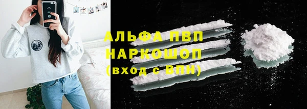 дживик Бородино