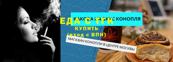 дживик Бородино