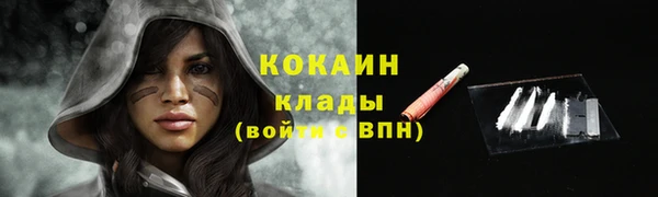 дживик Бородино