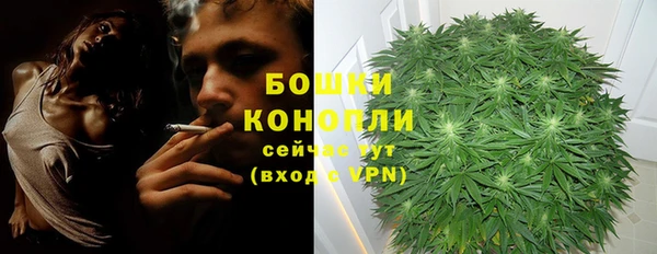 прущая мука Богородск