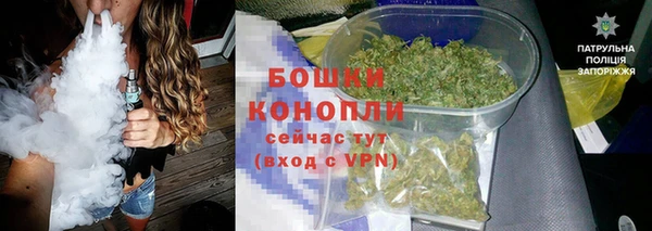 дживик Бородино