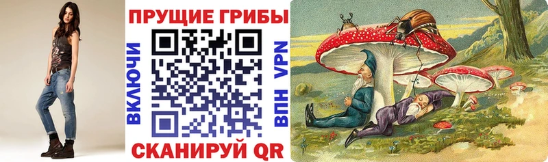 хочу наркоту  Ярцево  Псилоцибиновые грибы Psilocybe 